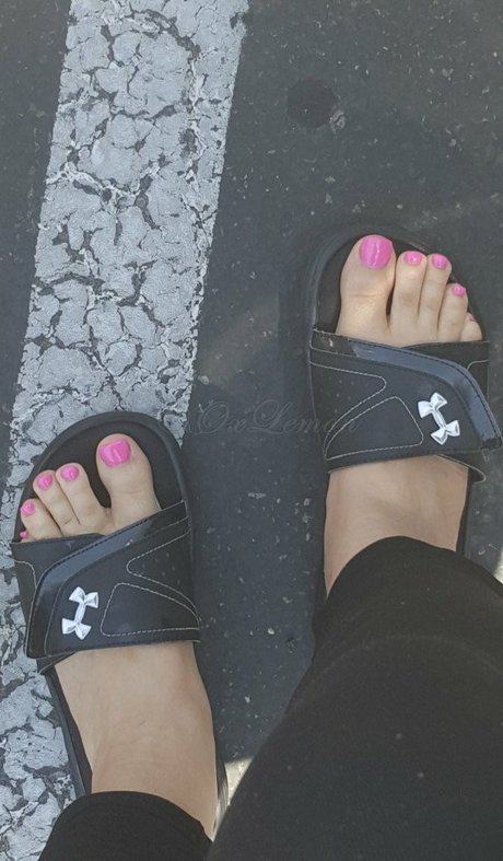 Oxlemon star art archive