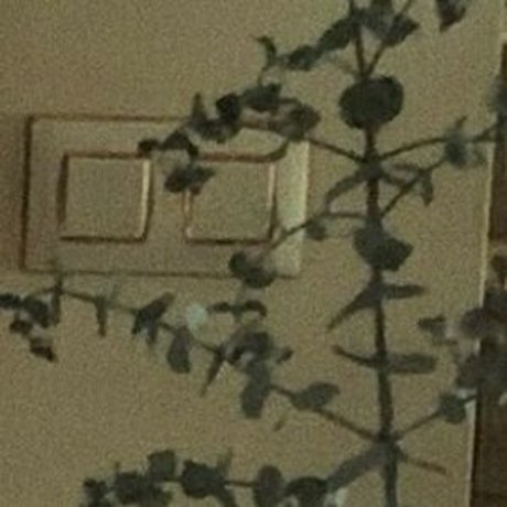 naughtybrattxo beautiful star gallery