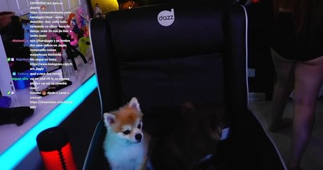 Claudia Andriolo top model image