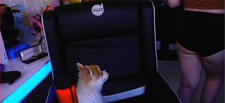 Claudia Andriolo xxx star pictures