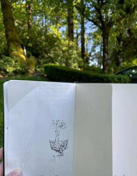 marstonhefner star art pic