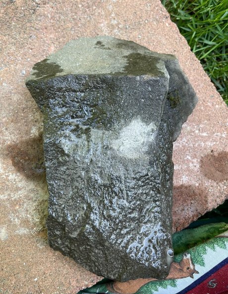 marstonhefner model high quality picture