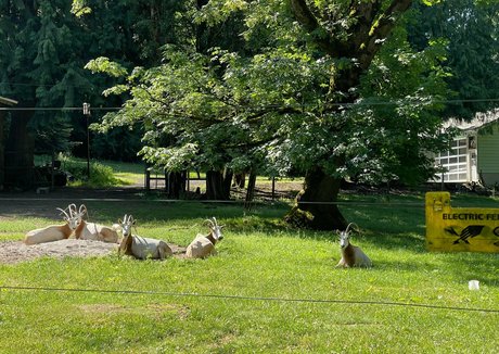 marstonhefner model sex pic