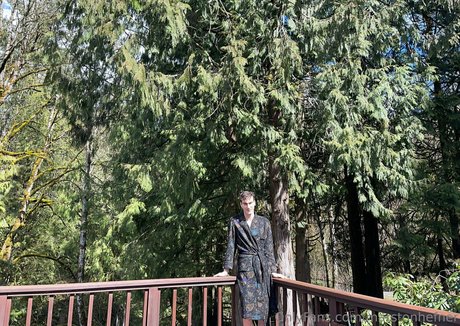 marstonhefner high quality pornstar image