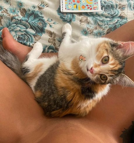 Carla Figueira beautiful actress img