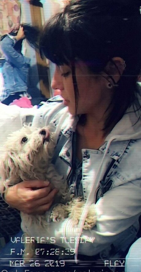 pampi cush high quality star pic