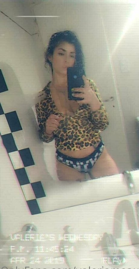 pampi cush star art galleries