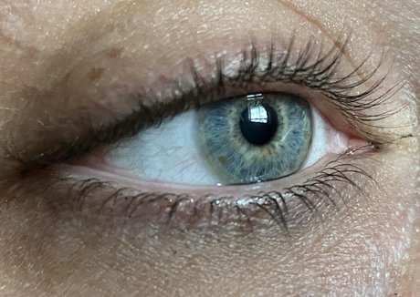 ollymcfly model top img