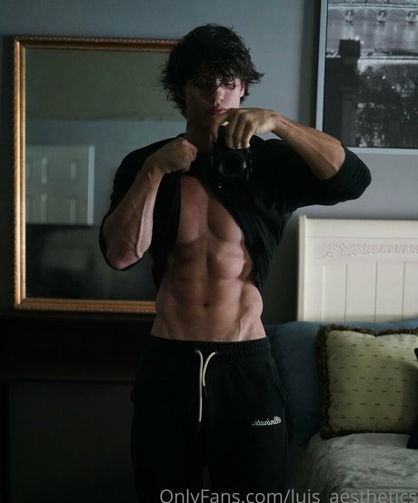 luis aesthetics erotic star img