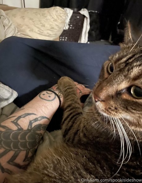 spookisideshow star pornographic archive