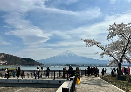 farrahabraham art actress photo