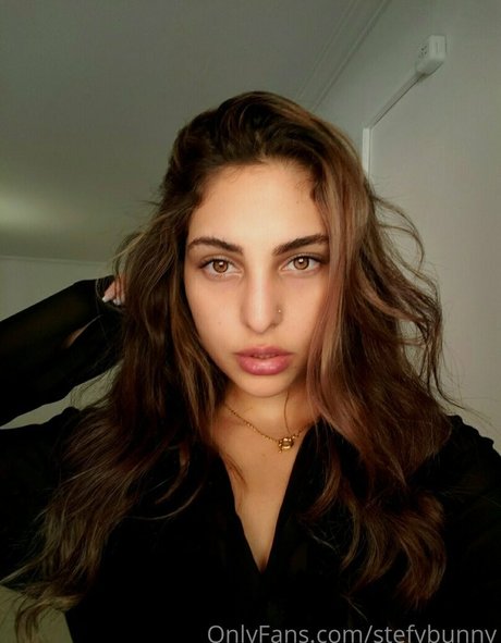 stefybunny star nice gallery