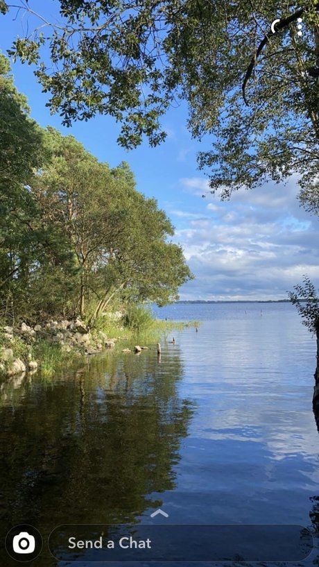 Mr Ace top pornstar img