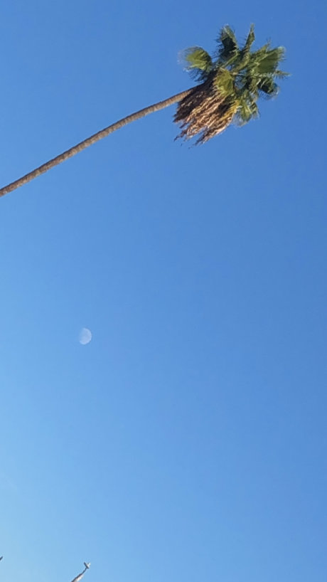 threesome ebony onlyfans art xxx image