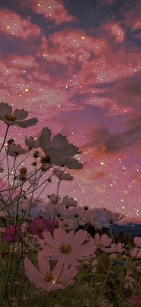 ball onlyfans exclusive picture