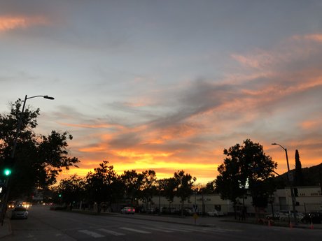 BeardedWizard perfect star picture