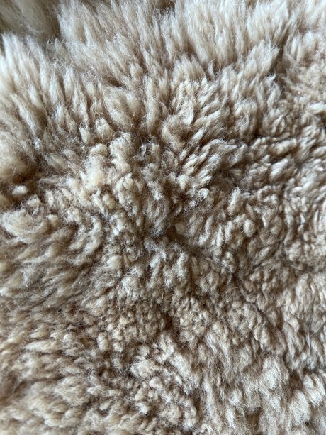 Longtoelola nude model picture