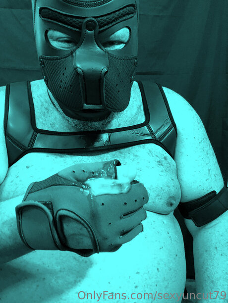 Rick Bear Pup Dancer pornstar adult img