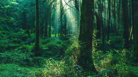 u211992439 exclusive model photos