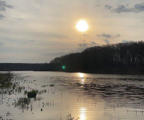 Cosmic Cowboy hot star archive