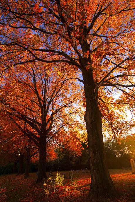 sp00pygirl pornstar photo