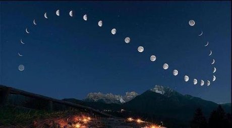 Zed Scheme star nice pictures