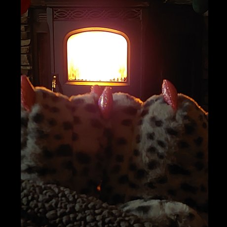 Toes R Us pornstar best pictures