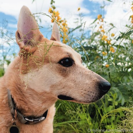 Topless talks with Mel model porn img