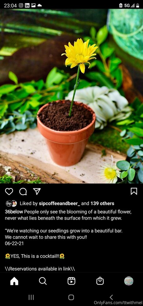 Topless talks with Mel star perfect galleries