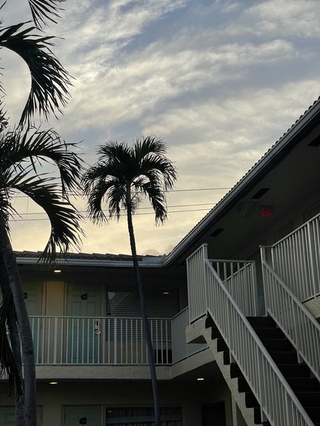 The Homoscorpion erotic pornstar photos