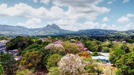 Thady nude model images