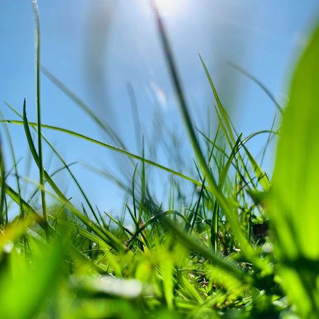 BenTooling exclusive pornstar pic