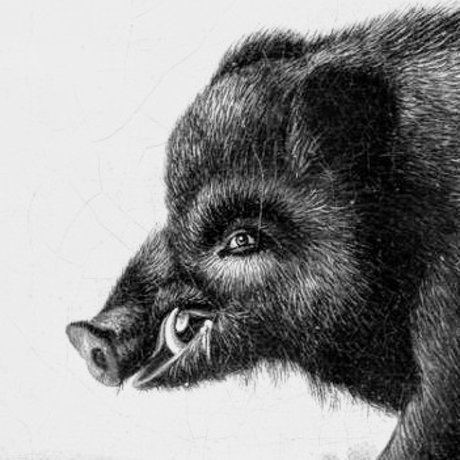 PerKoshon star naked pics