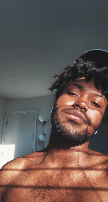 Midwest Party Free star nice gallery