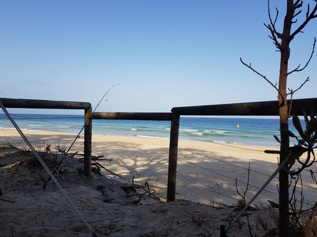 Sierra Skies hot pornstar picture