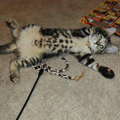 hot naked onlyfans free nude pictures