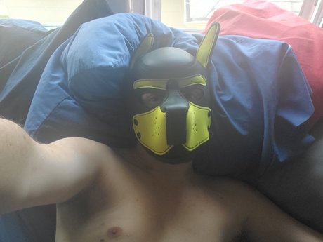 Pup squishy beautiful model galleries