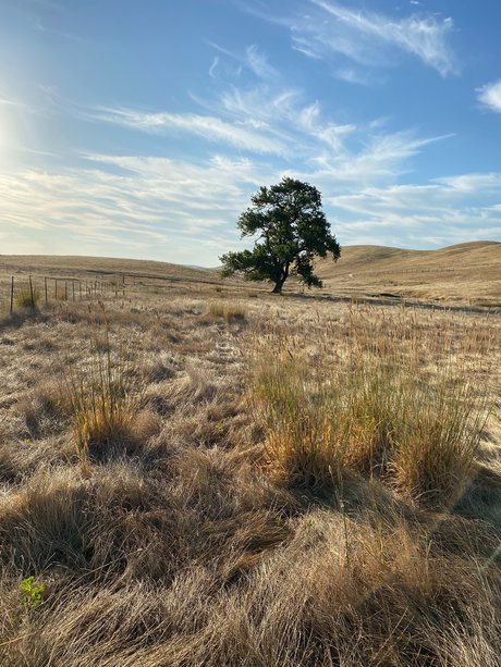 Jerrad greenick sex star photo