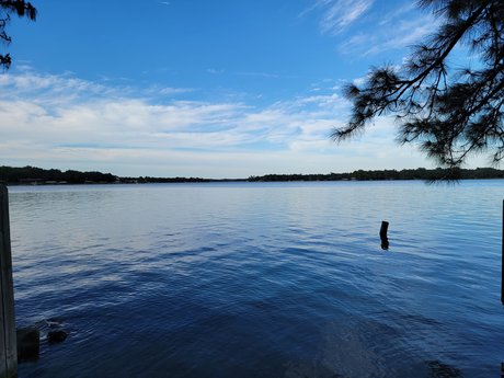 TazDevil69 star hot archive