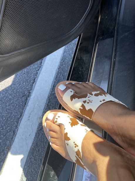 southernbelles best actress gallery