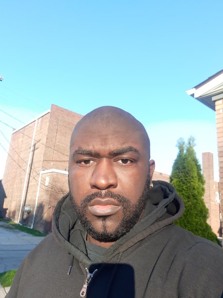 THE1TLB model nice image