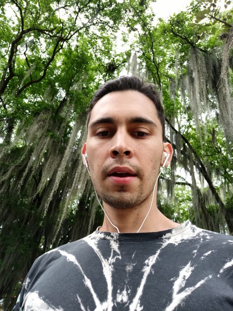 Davidreams_ pornstar nude galleries