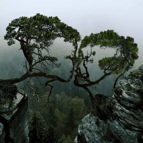 Ariah VPC sex pornstar image