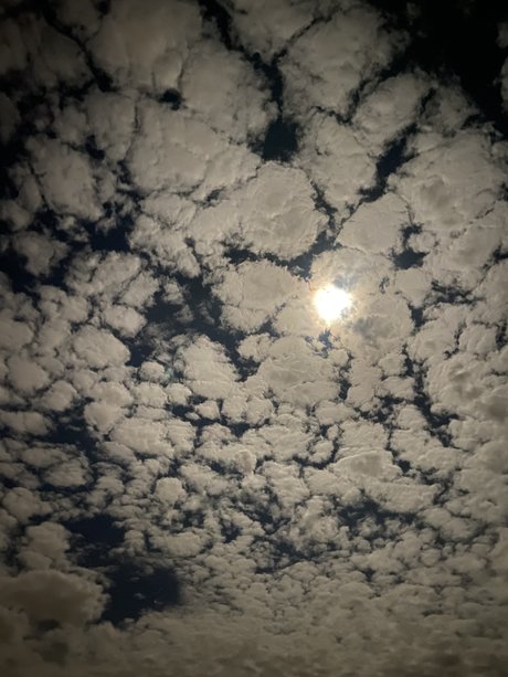 MiSexy star free photo