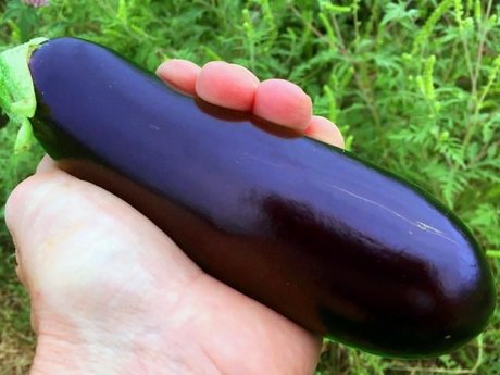 Nympho6ix model pornographic picture