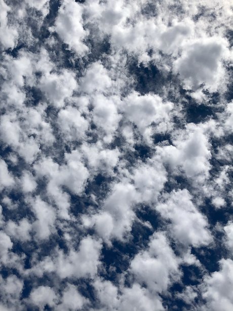 dddd 89 model hot gallery