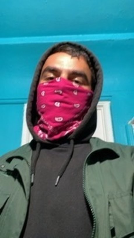 Salvador pornographic star galleries