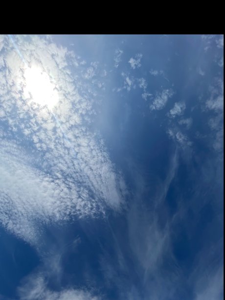 faye_ pornstar art pics