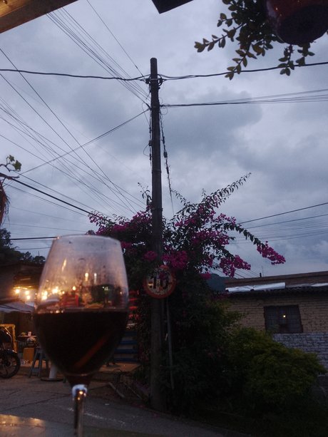 Nico Fox pornstar erotic archive