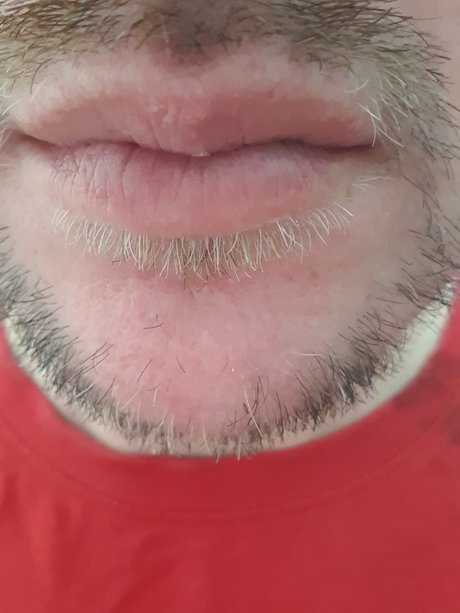 Nicolas C spedes nude actress picture